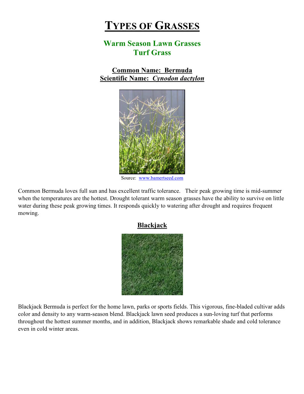 Types-Of-Grasses.Pdf