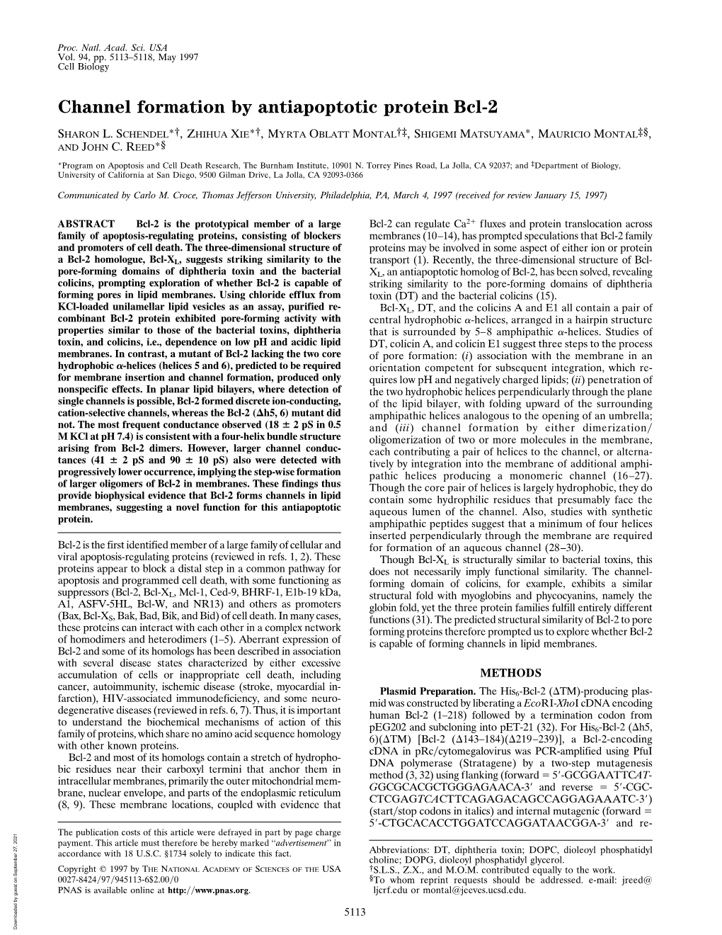 Channel Formation by Antiapoptotic Protein Bcl-2