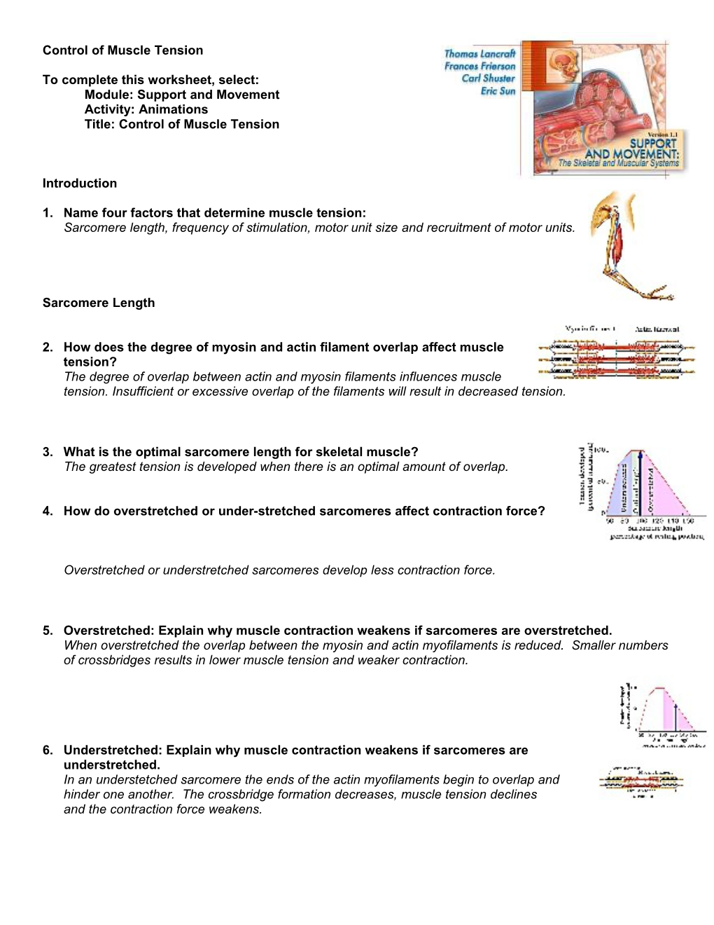 Endocrine System: Overview s1