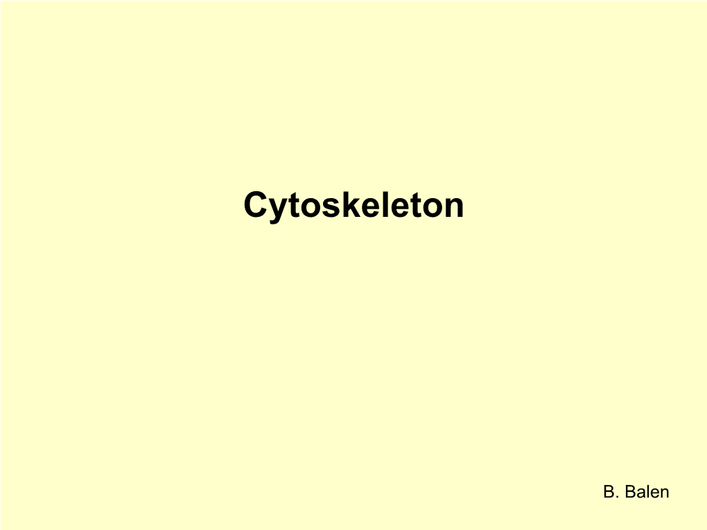 Cytoskeleton