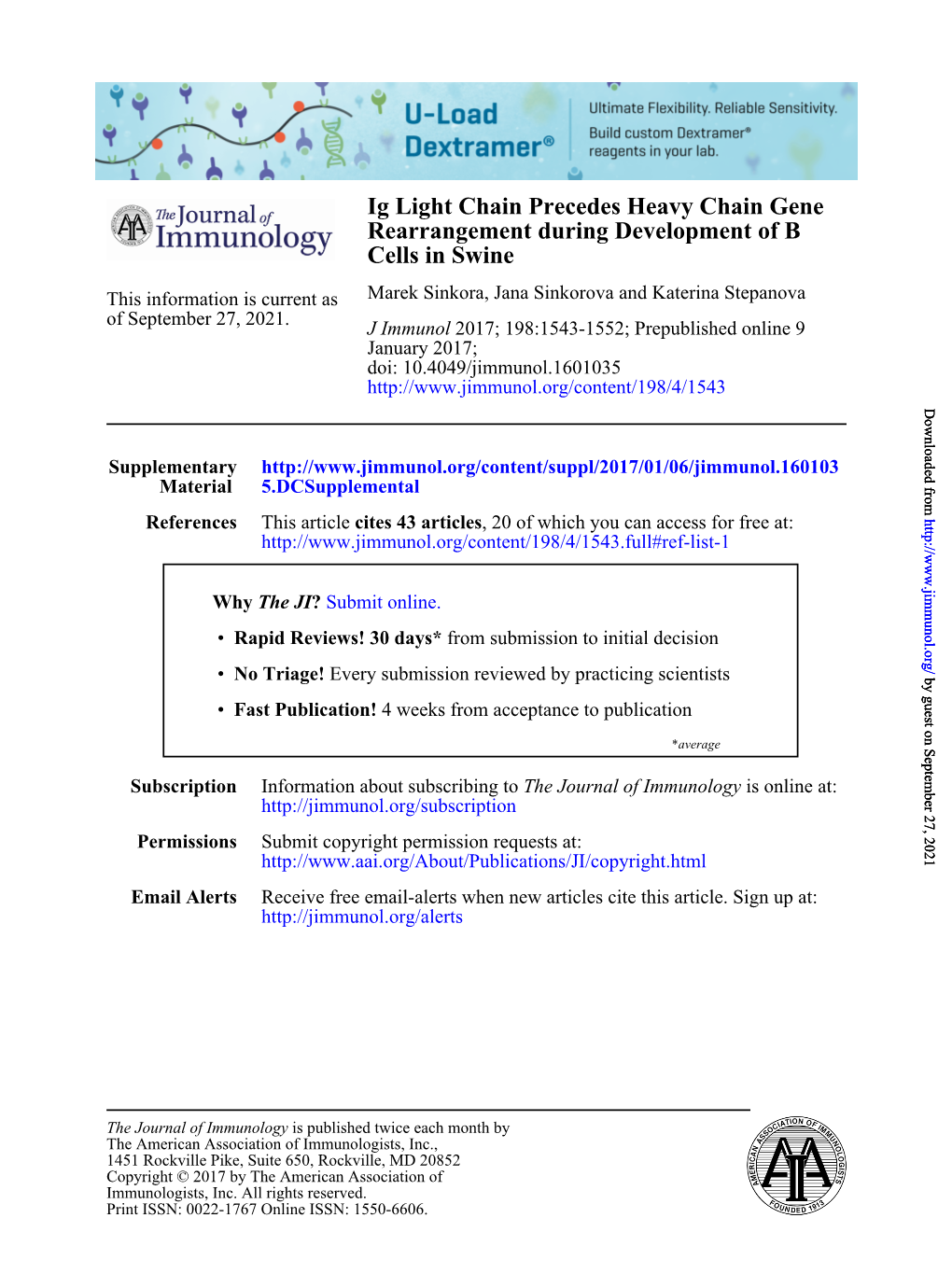 Ig Light Chain Precedes Heavy Chain Gene Rearrangement During Development of B Cells in Swine