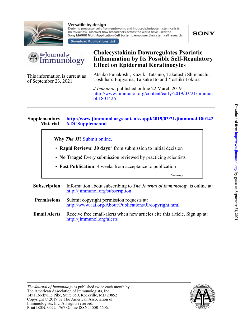 Cholecystokinin Downregulates Psoriatic Inflammation by Its Possible Self-Regulatory Effect on Epidermal Keratinocytes