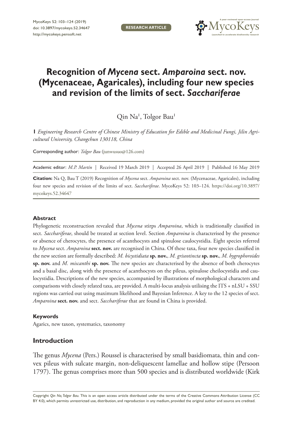 Recognition of Mycena Sect. Amparoina Sect. Nov. (Mycenaceae, Agaricales), Including Four New Species and Revision of the Limits of Sect