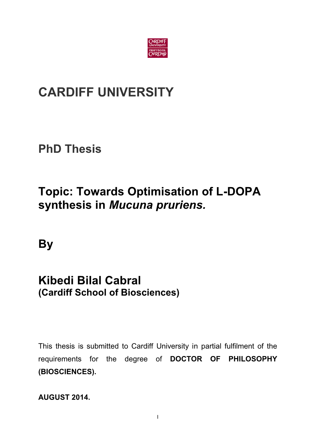 2014-Kibedi-BC-Phdversion2.Pdf