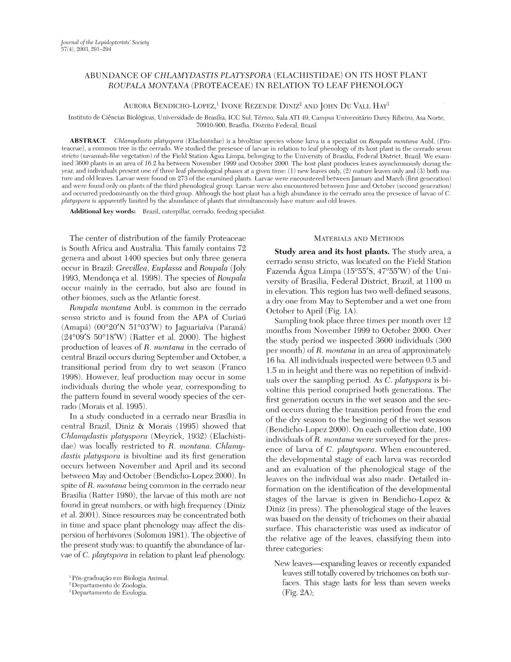 Abundance of Chlamydastis Platyspora (Elachistidae) on Its Host Plant Roupala Montana (Proteaceae) in Relation to Leaf Phenology