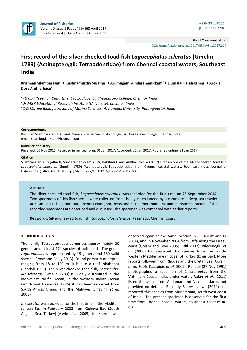 First Record of the Silver-Cheeked Toad Fish Lagocephalus Scleratus (Gmelin, 1789) (Actinopterygii: Tetraodontidae) from Chennai Coastal Waters, Southeast India