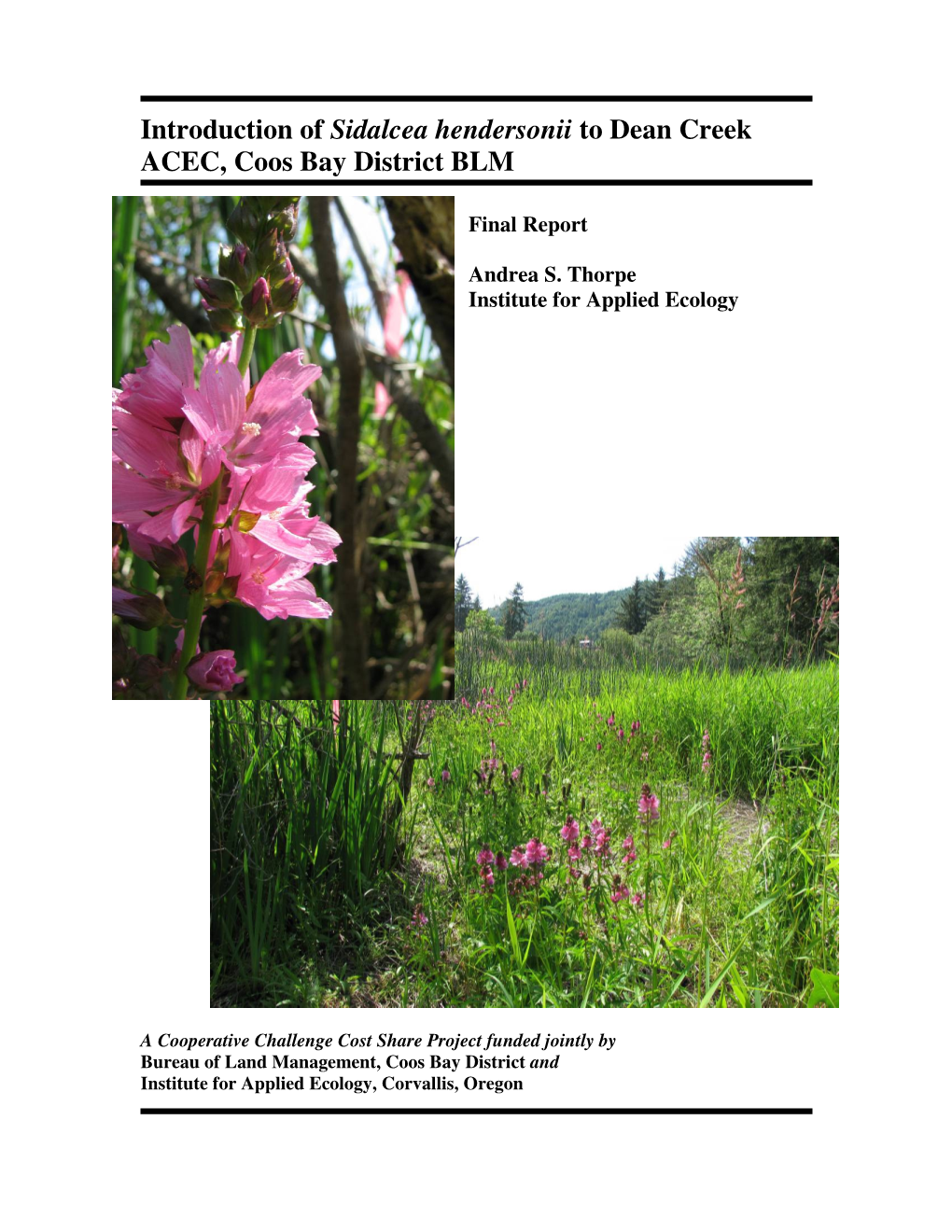 Introduction of Sidalcea Hendersonii to Dean Creek ACEC, Coos Bay District BLM