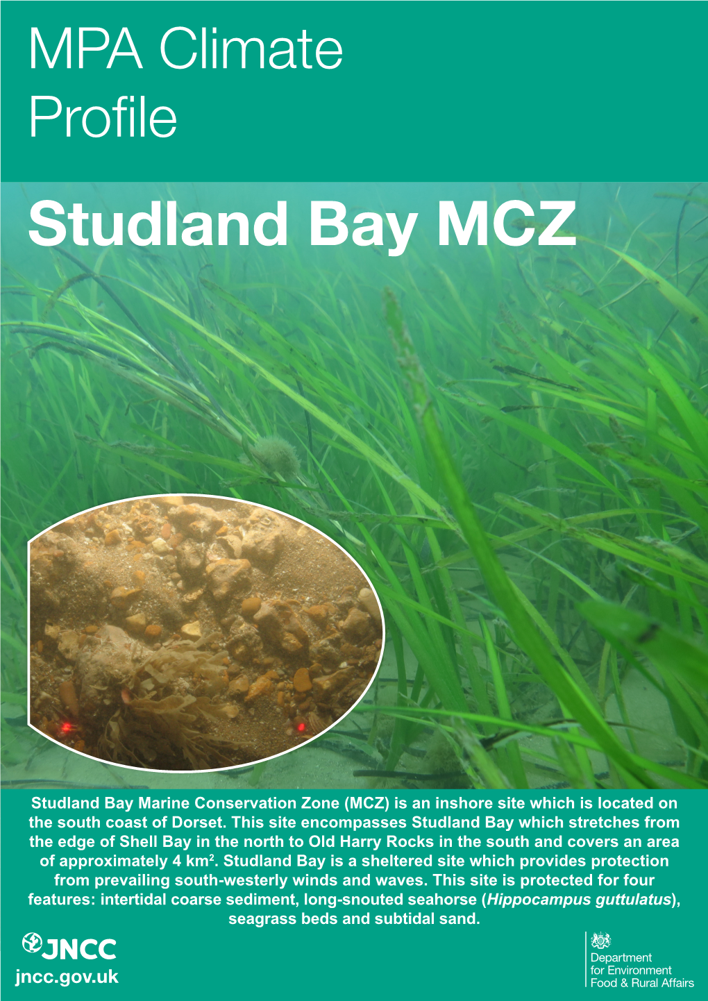 Studland Bay MCZ