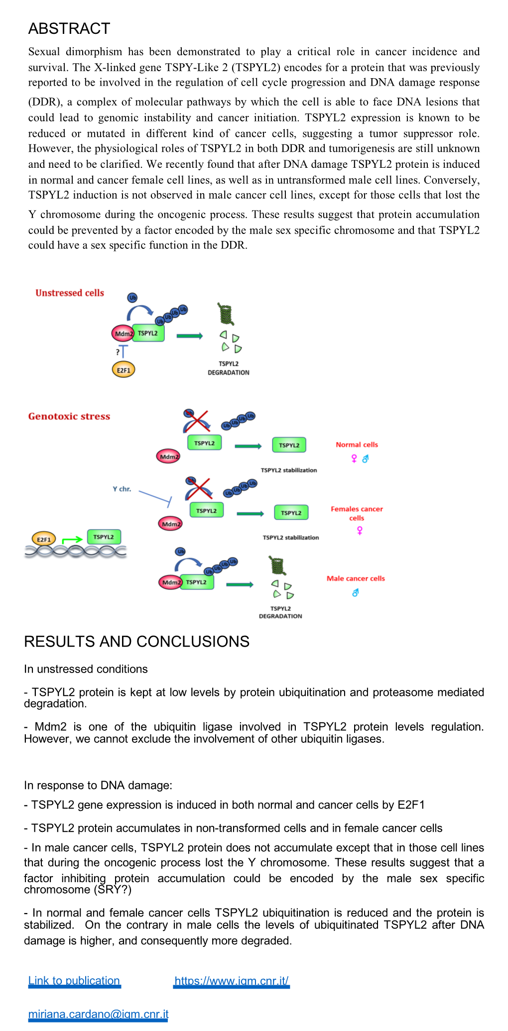 TSPYL2 Is a Novel Regulator of SIRT1 and P300 Activity in Response to DNA Damage