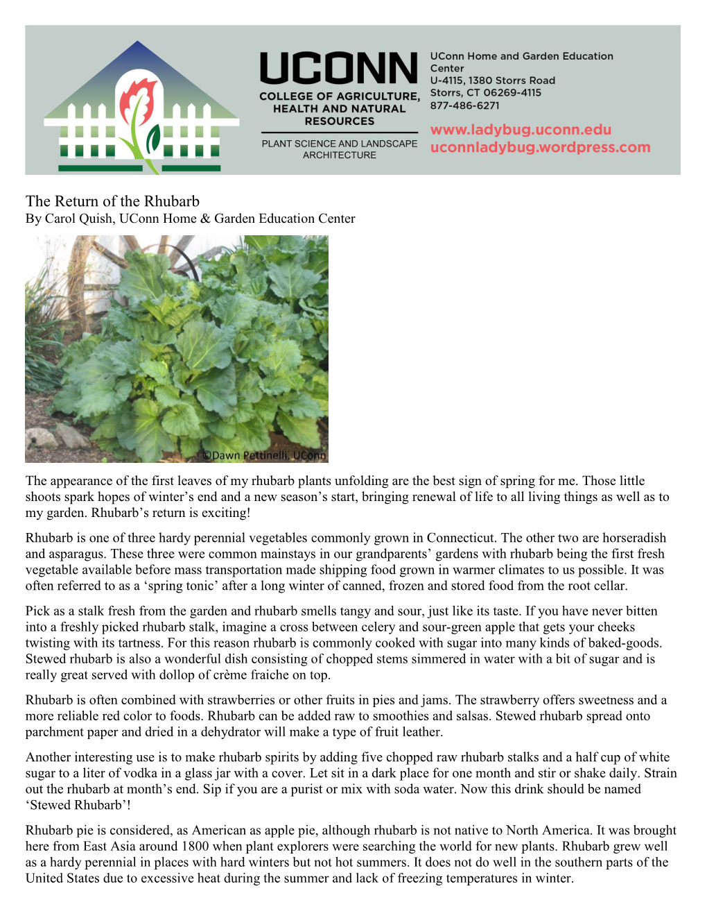 The Return of the Rhubarb by Carol Quish, Uconn Home & Garden Education Center