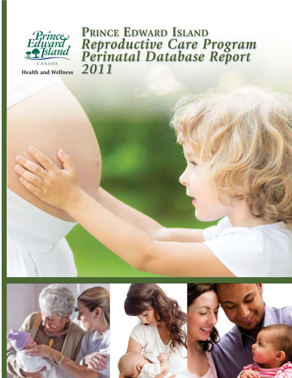 Reproductive Care Program Perinatal Database Report 2011