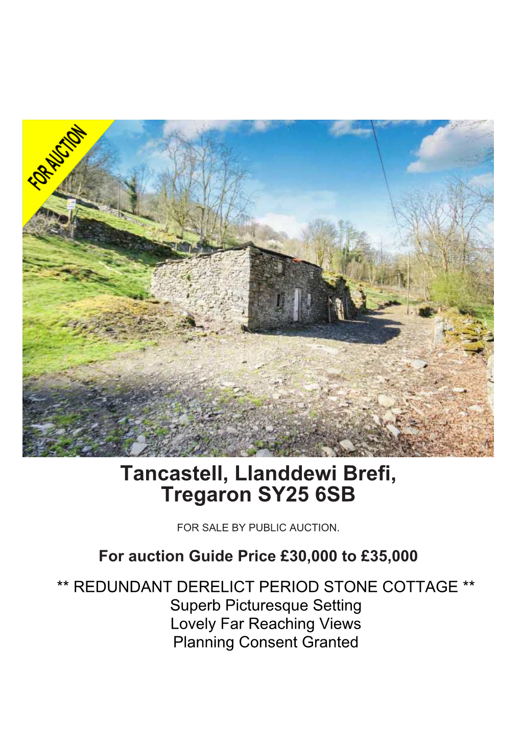 Tancastell, Llanddewi Brefi, Tregaron SY25 6SB