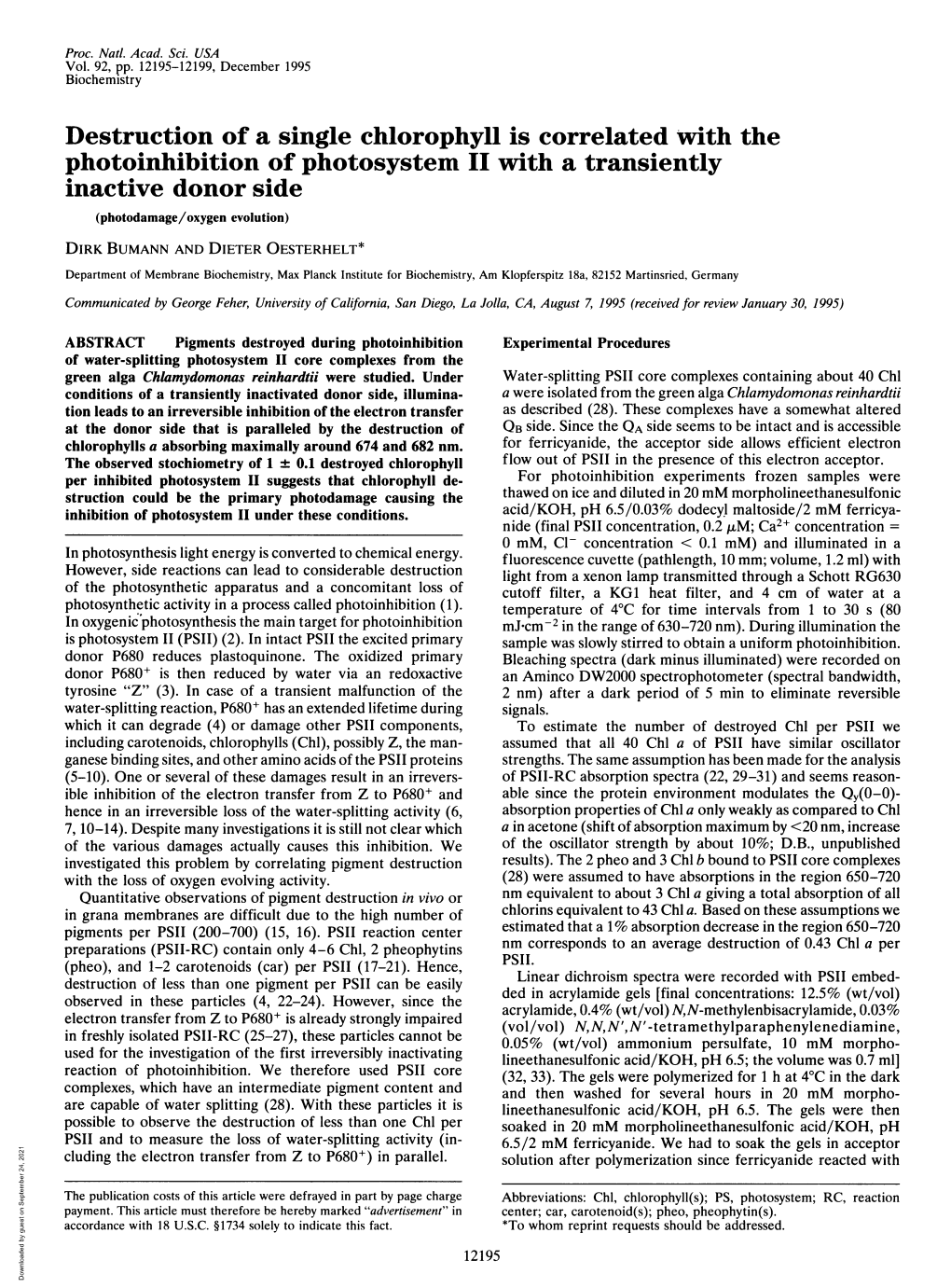 Destruction of a Single Chlorophyll Is Correlated with the Photoinhibition of Photosystem II with a Transiently Inactive Donor Side (Photodamage/Oxygen Evolution)