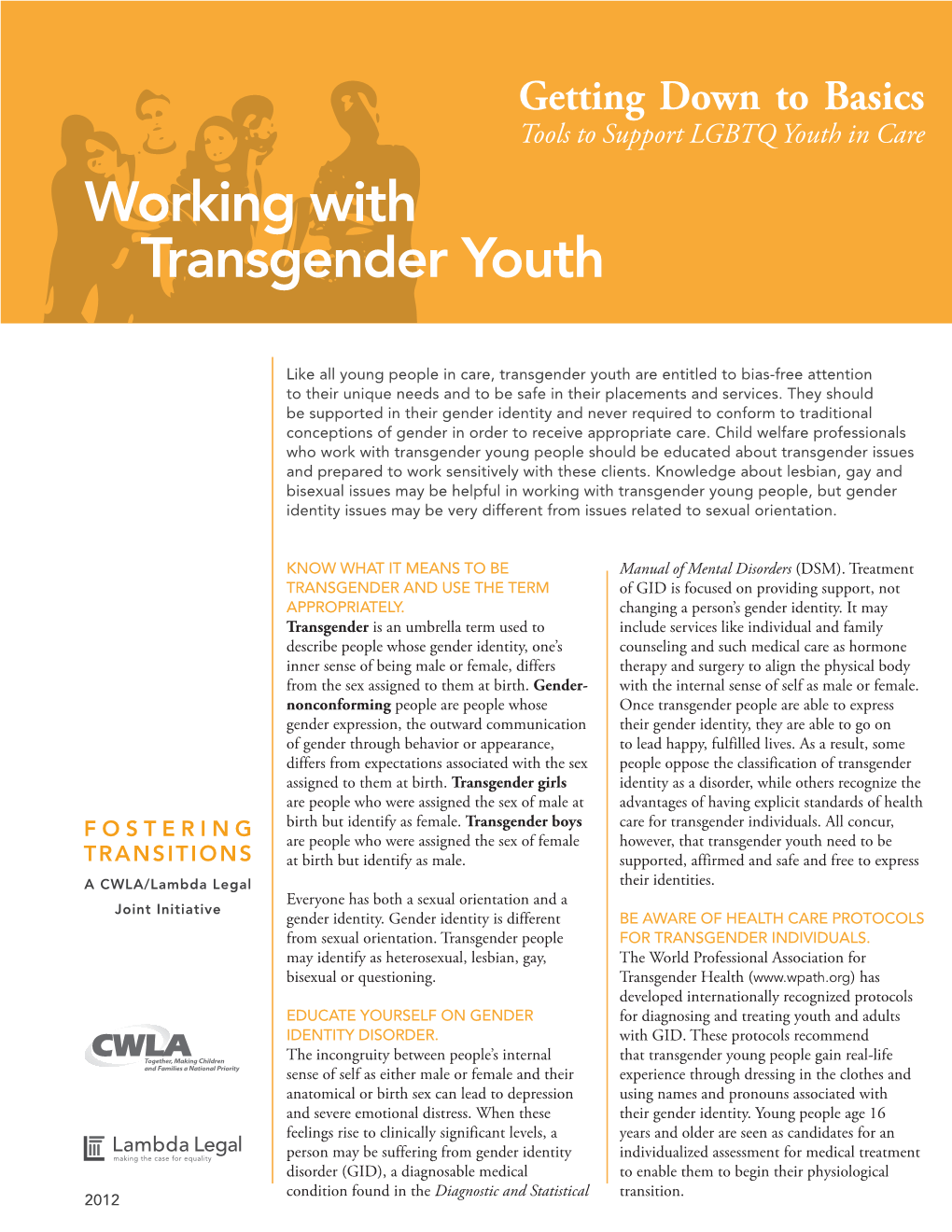 Working with Transgender Youth