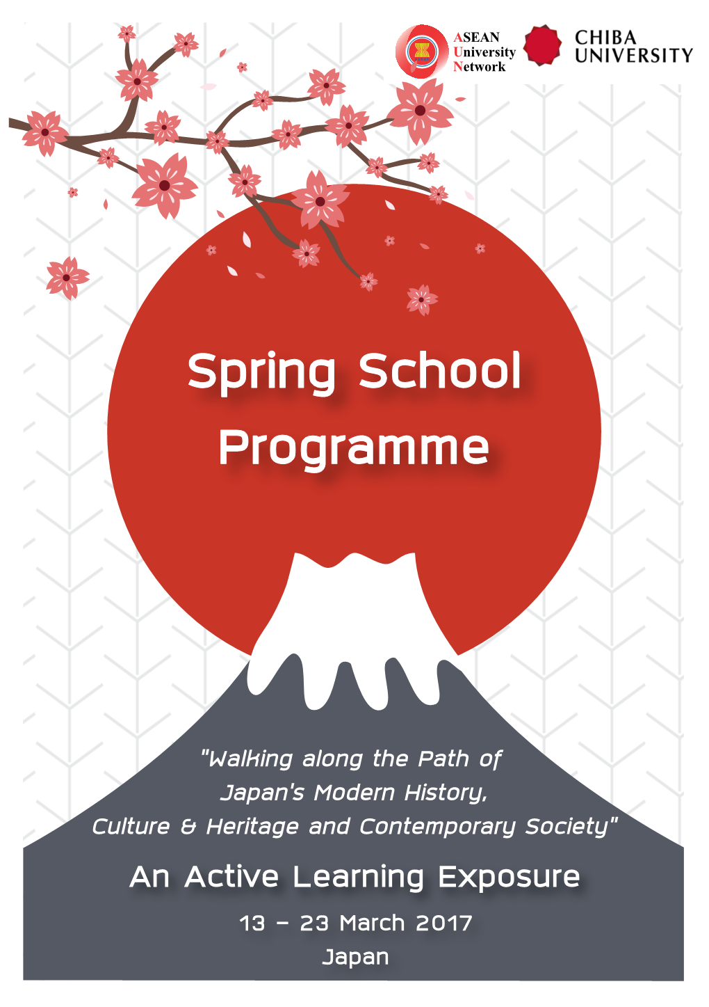 Spring School Programme