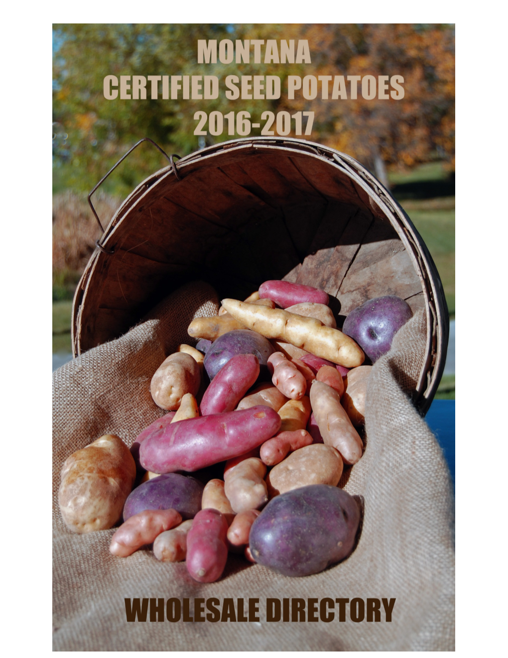 Thank You for Buying Montana Seed Potatoes!