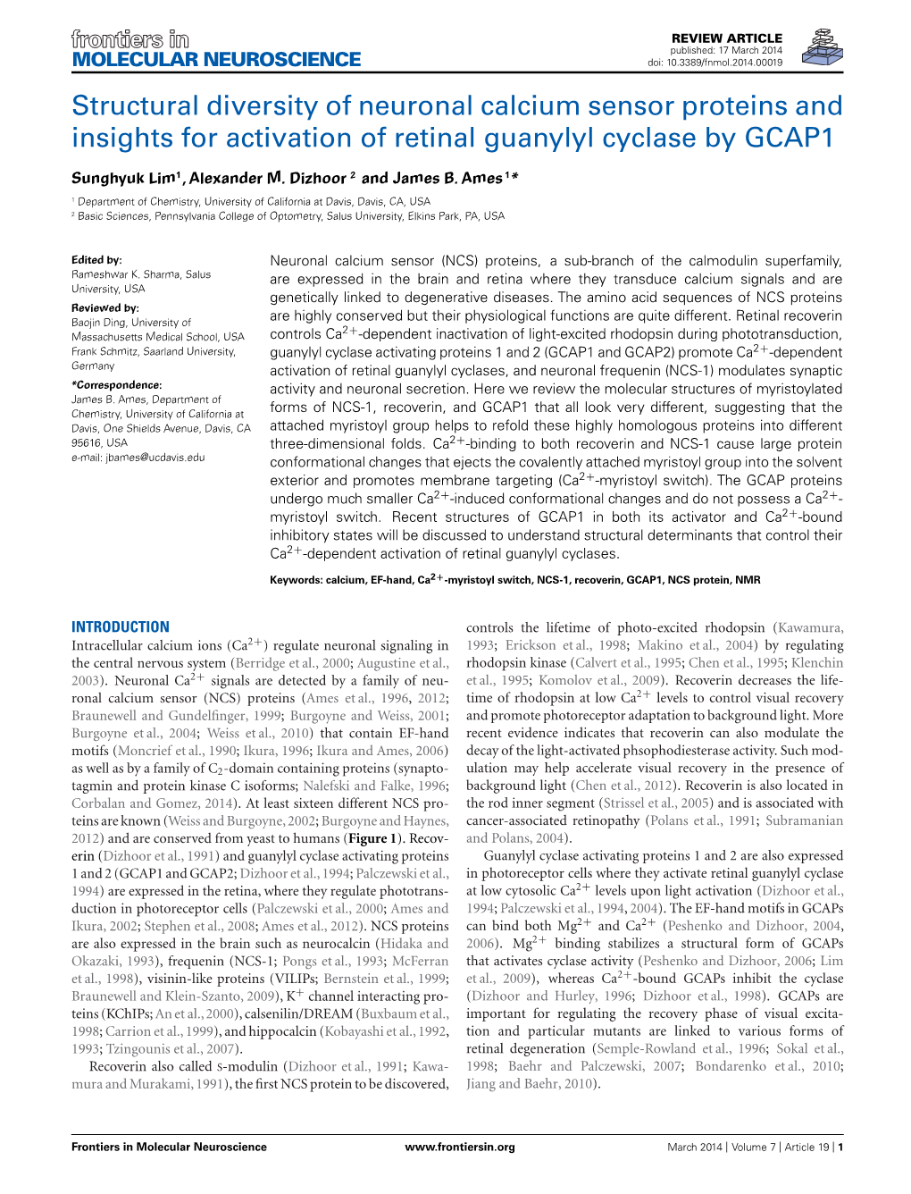 Structural Diversity of Neuronal Calcium Sensor Proteins and Insights for Activation of Retinal Guanylyl Cyclase by GCAP1