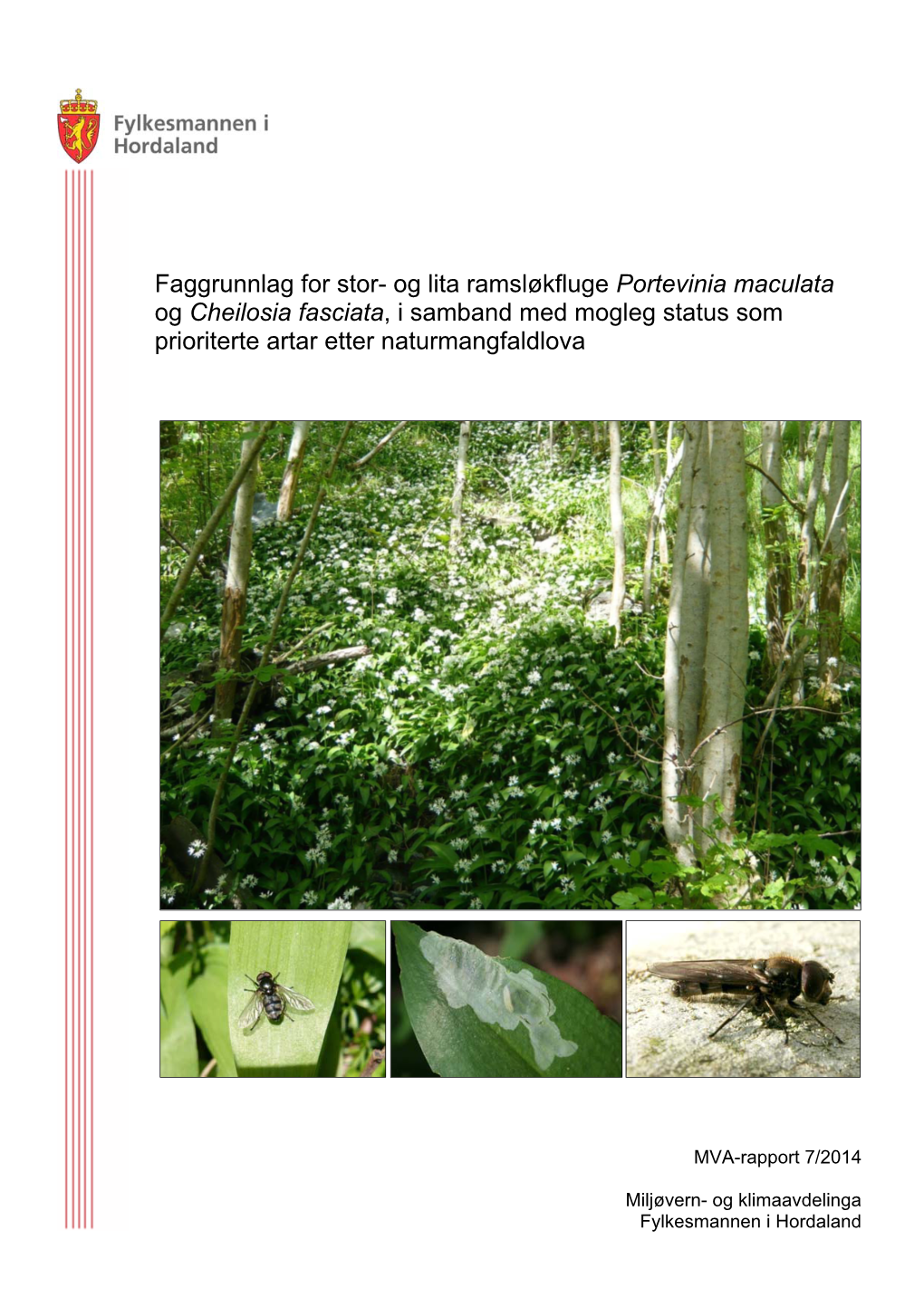 Faggrunnlag for Stor- Og Lita Ramsløkfluge Portevinia Maculata Og Cheilosia Fasciata, I Samband Med Mogleg Status Som Prioriterte Artar Etter Naturmangfaldlova