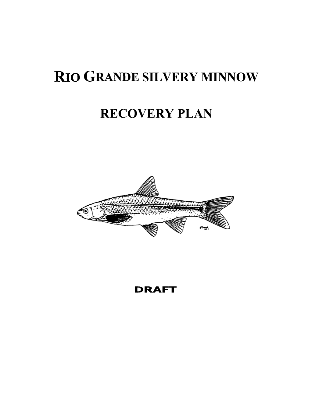 Rio Grande Silvery Minnow Recovery Plan