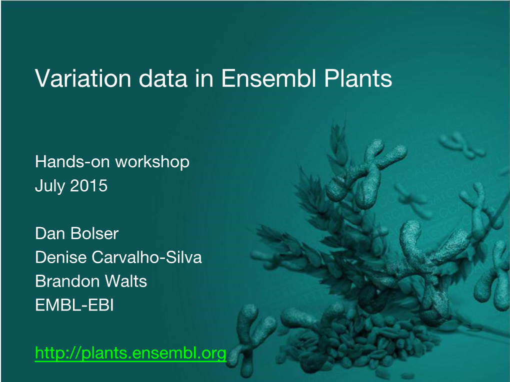 Variation Data in Ensembl Plants