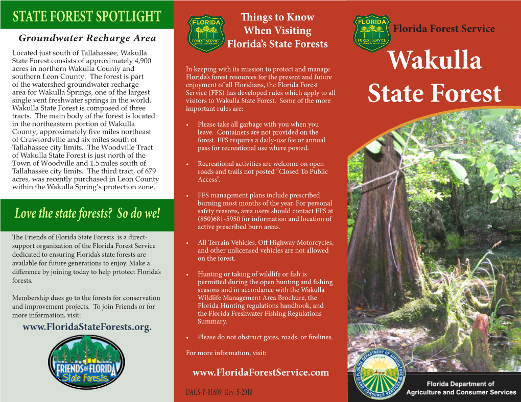 Wakulla State Forest