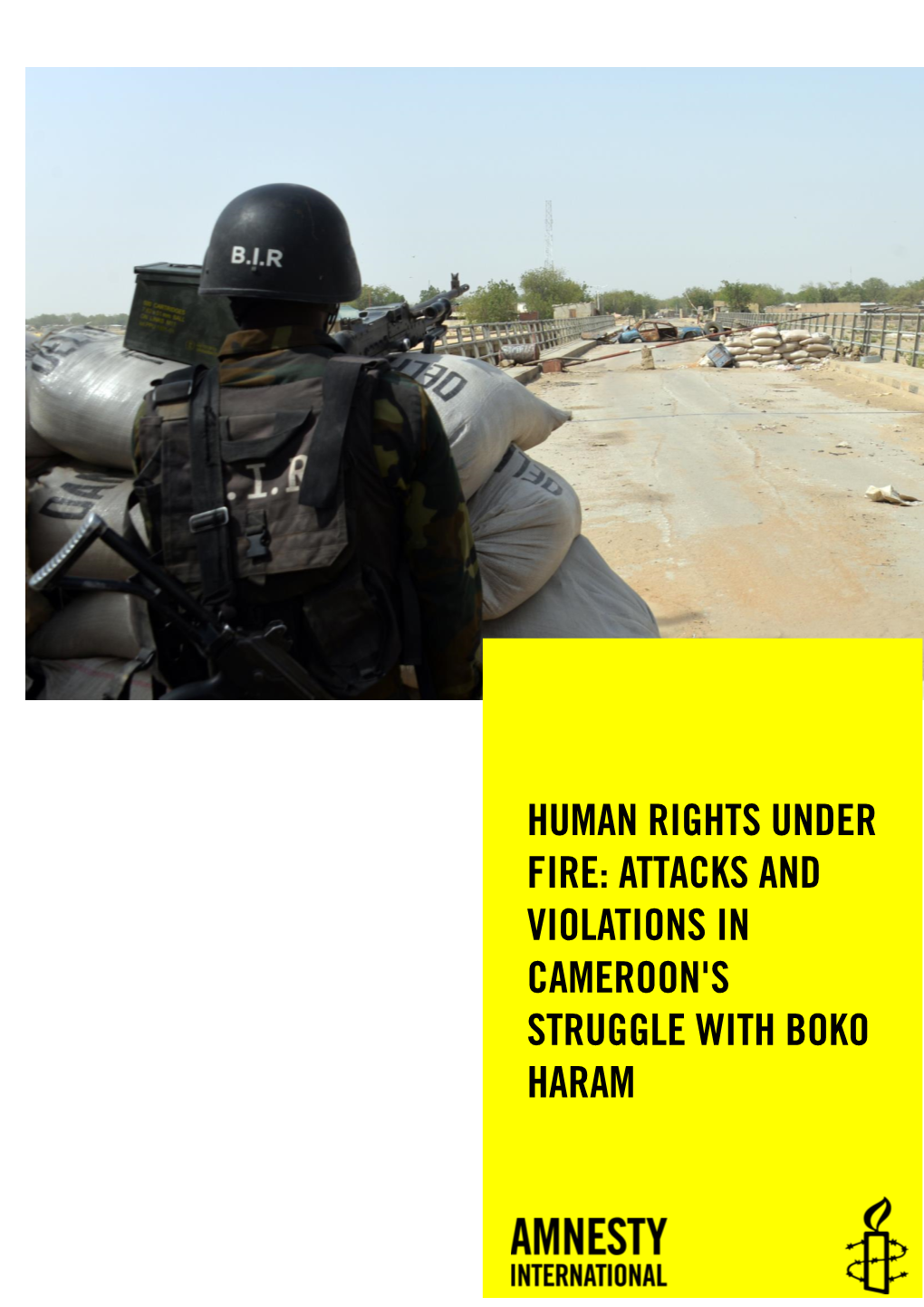 Human Rights Under Fire:Attacks and Violations in Cameroon's Struggle