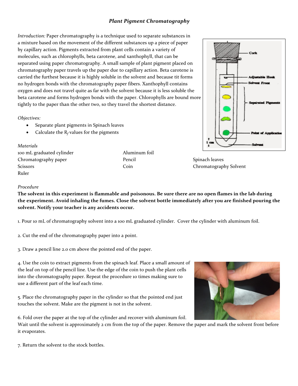 Plant Pigment Chromatography