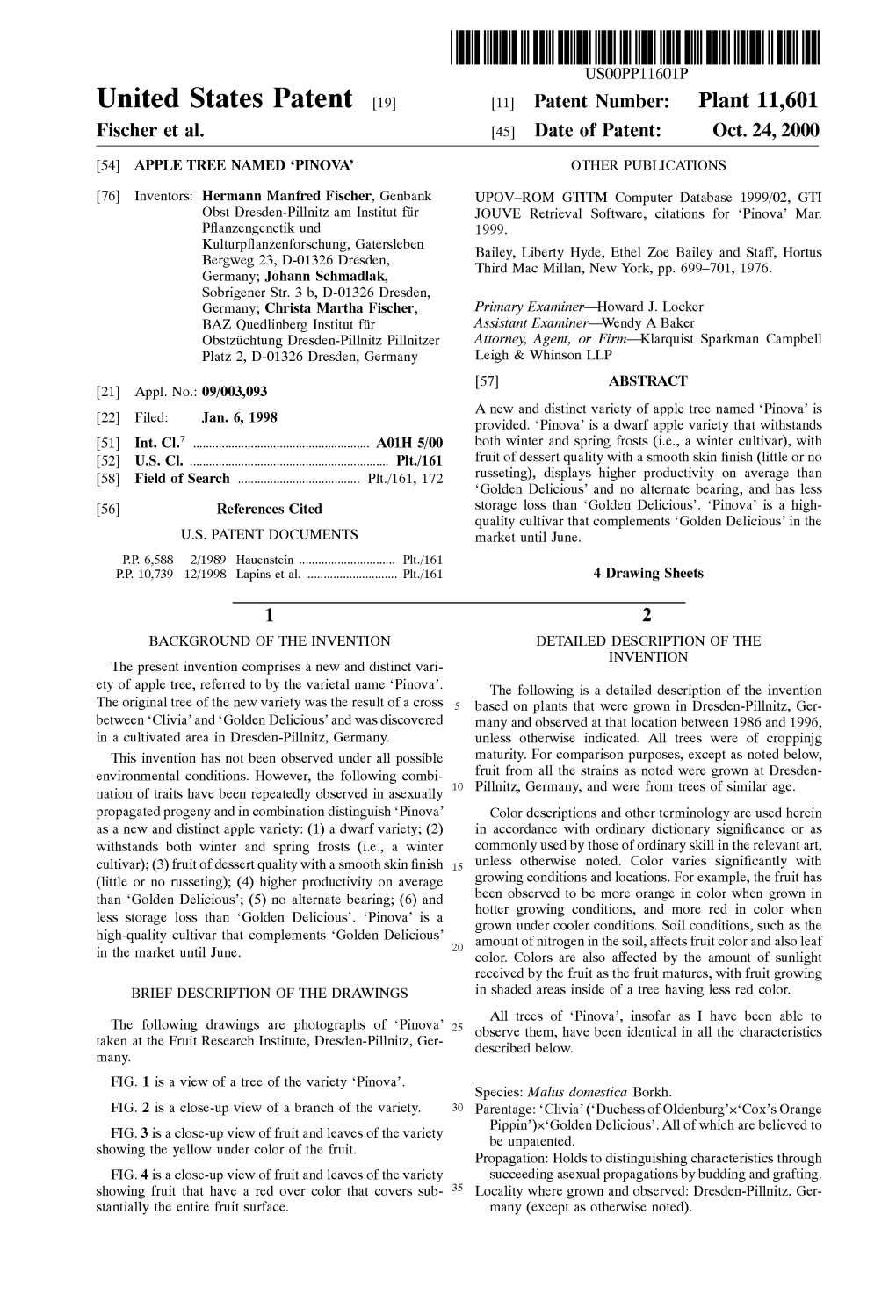 United States Patent 19 11 Patent Number: Plant 11,601 Fischer Et Al
