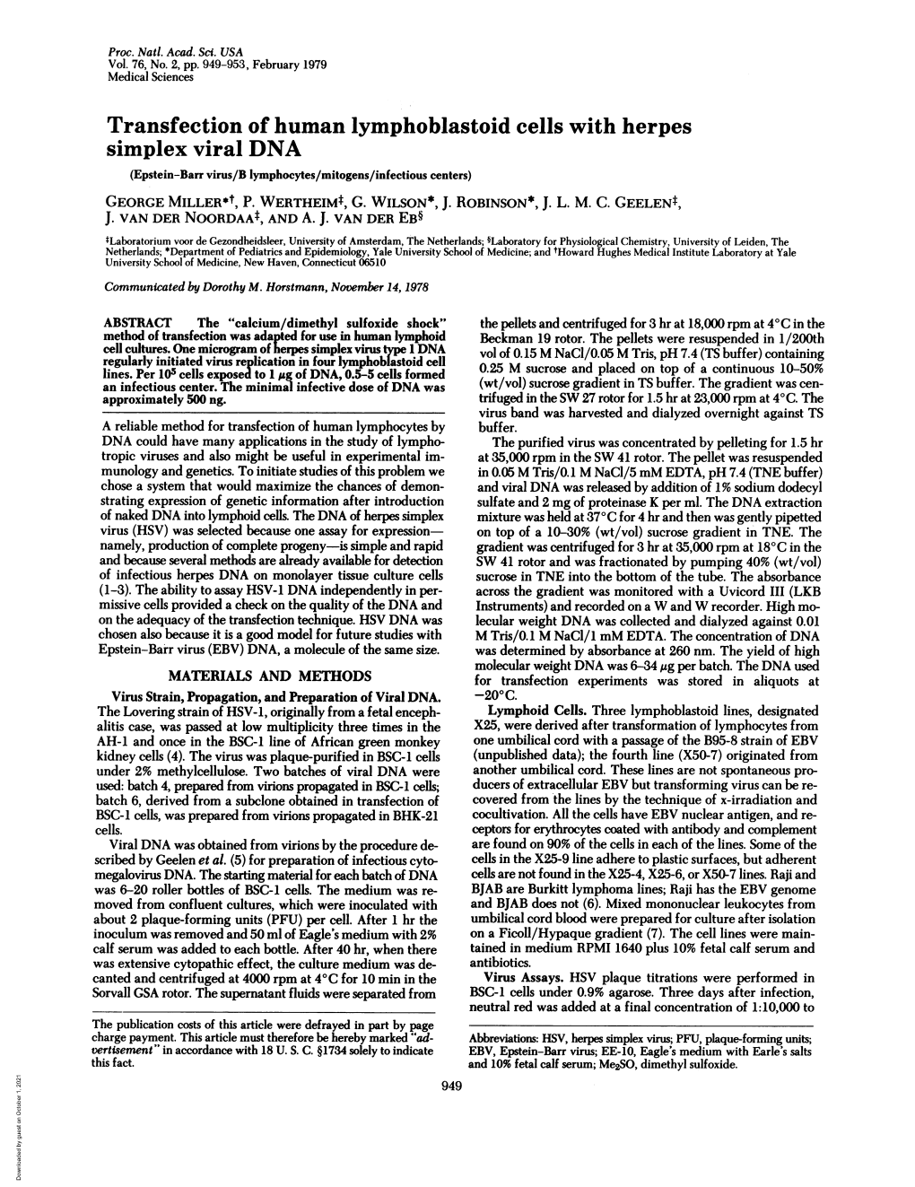 Transfection of Human Lymphoblastoid Cells with Herpes Simplex Viral DNA (Epstein-Barr Virus/B Lymphocytes/Mitogens/Infectious Centers) GEORGE MILLER*T, P