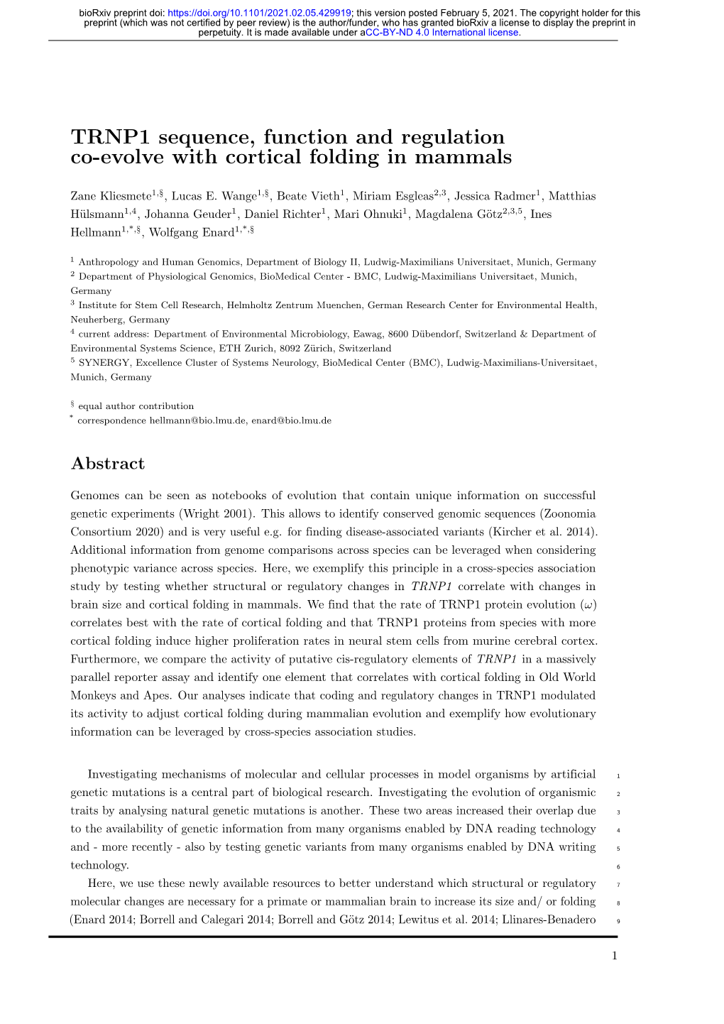 TRNP1 Sequence, Function and Regulation Co-Evolve with Cortical Folding in Mammals