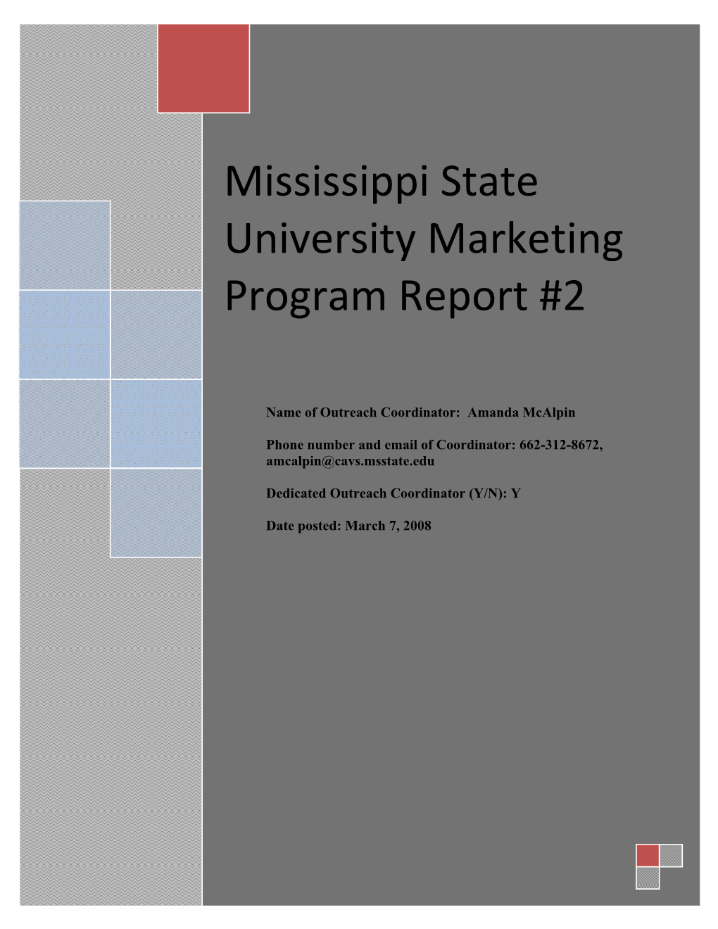 Mississippi State University Marketing Program Report #2