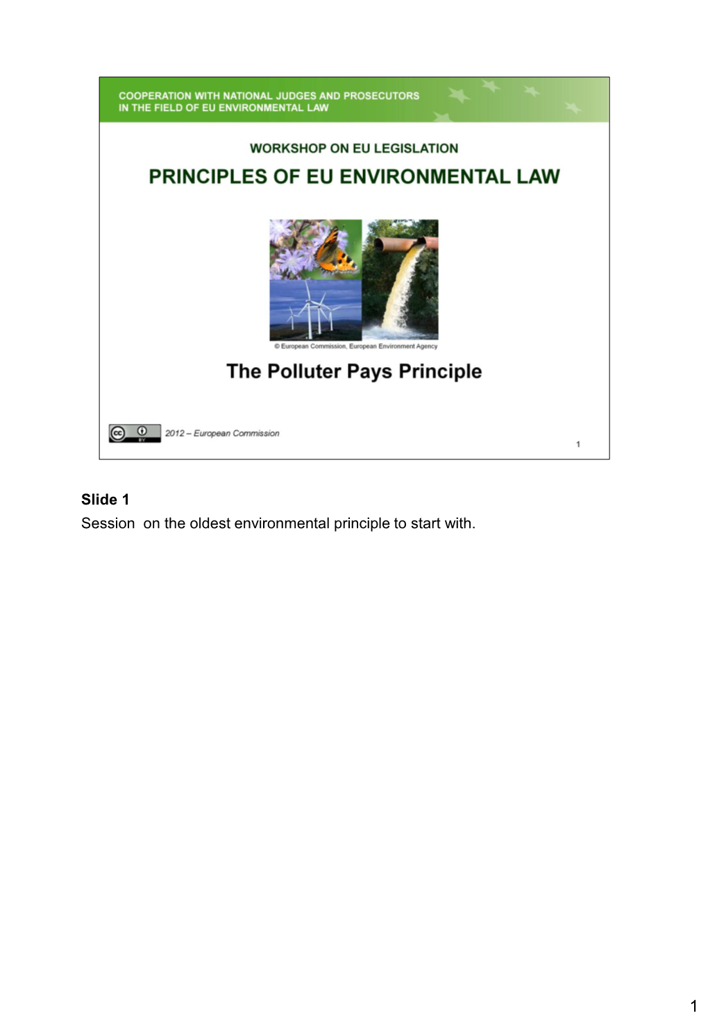 Polluter Pays Principle (PPP) Was First Mentioned in the Recommendation of the OECD of 26Th May 1972 and Reaffirmed in the Recommendation of 14Th November 1974