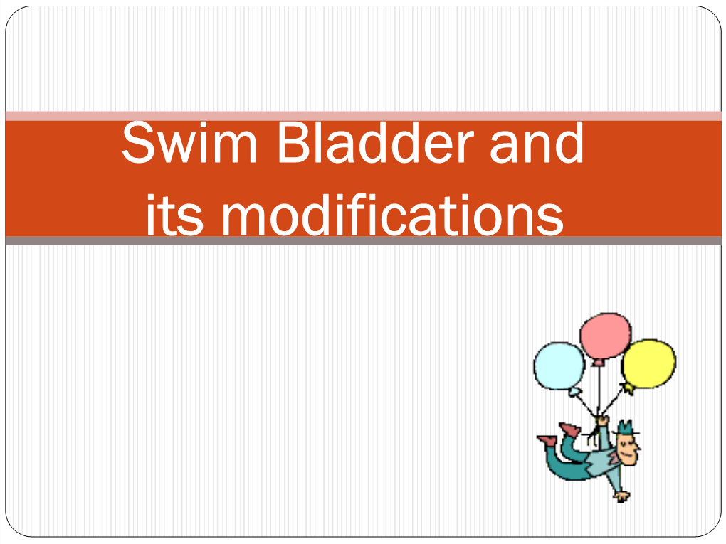 Swim Bladder and Its Modifications Swim Bladder