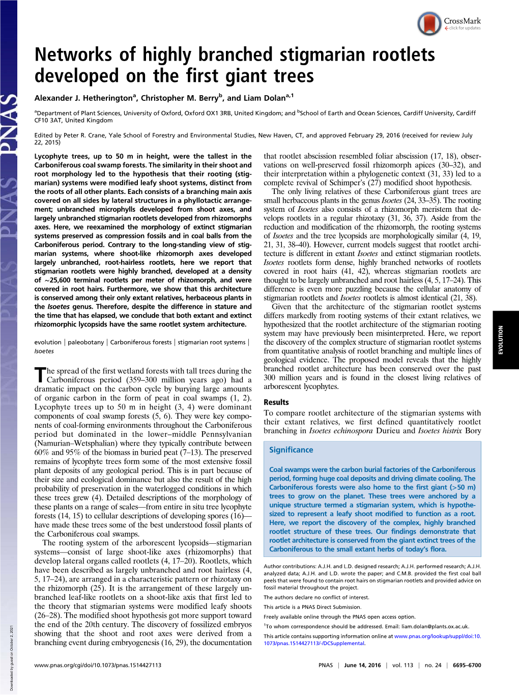 Networks of Highly Branched Stigmarian Rootlets Developed on the First Giant Trees