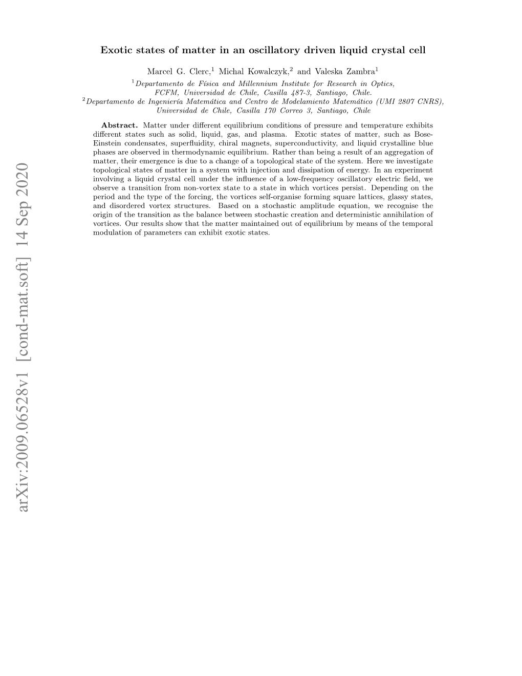 Exotic States of Matter in an Oscillatory Driven Liquid Crystal Cell