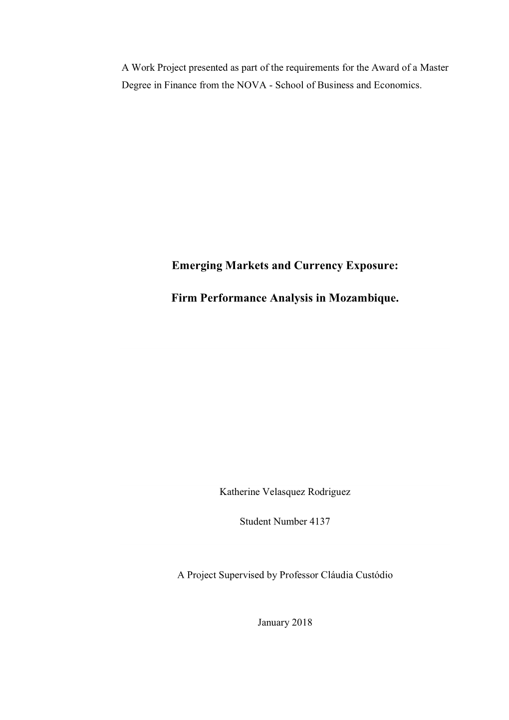 Emerging Markets and Currency Exposure: Firm Performance