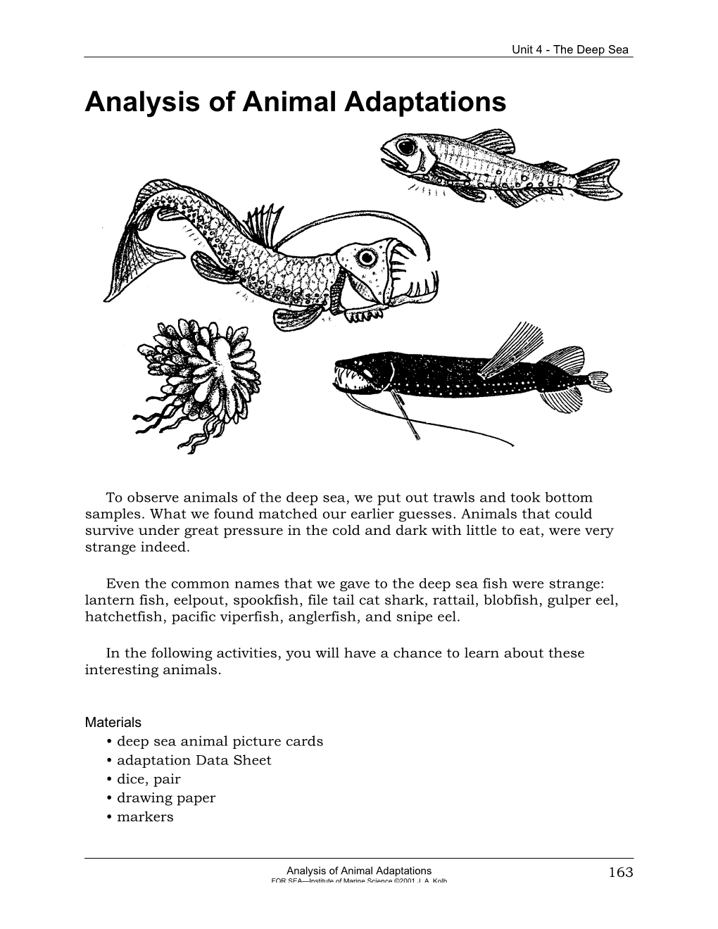 Analysis of Animal Adaptations