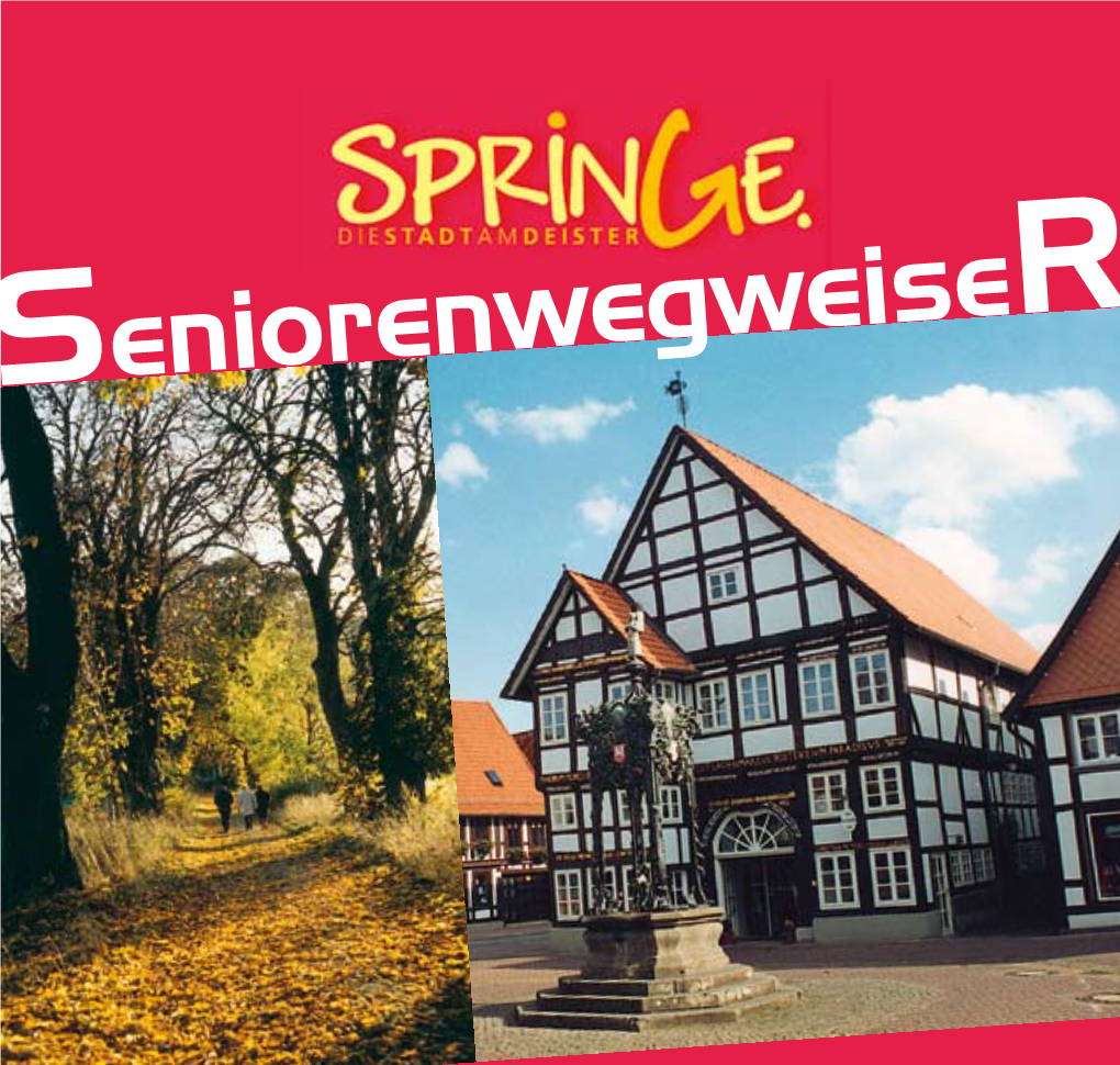 Seniorenwegweiser Der Stadt Springe