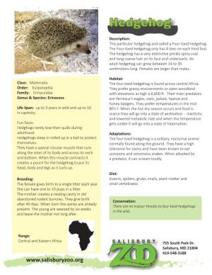 Hedgehog Fact Sheet