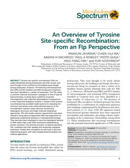 An Overview of Tyrosine Site-Specific Recombination: from an Flp Perspective