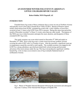 An Extended Winter Fog Event in Arizona's Little Colorado