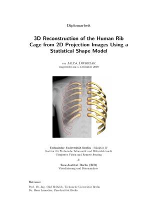 3D Reconstruction of the Human Rib Cage from 2D Projection Images Using a Statistical Shape Model