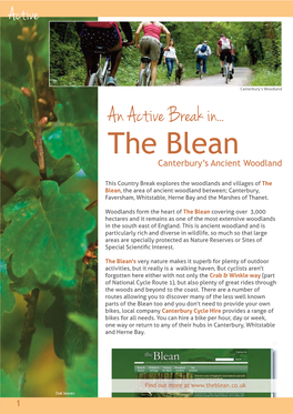 The Blean Active Break