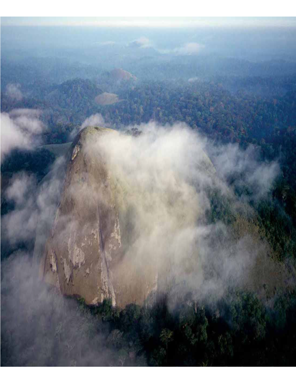 Minkebephase THREE DEVELOPMENT NATIONAL PARK