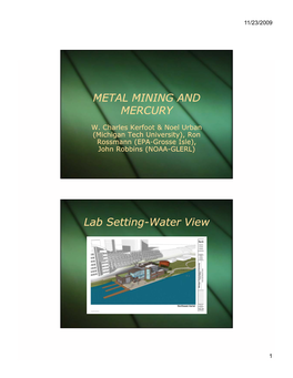 METAL MINING and MERCURY METAL MINING and MERCURY Lab Setting-Water View