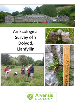An Ecological Survey of Y Dolydd, Llanfyllin