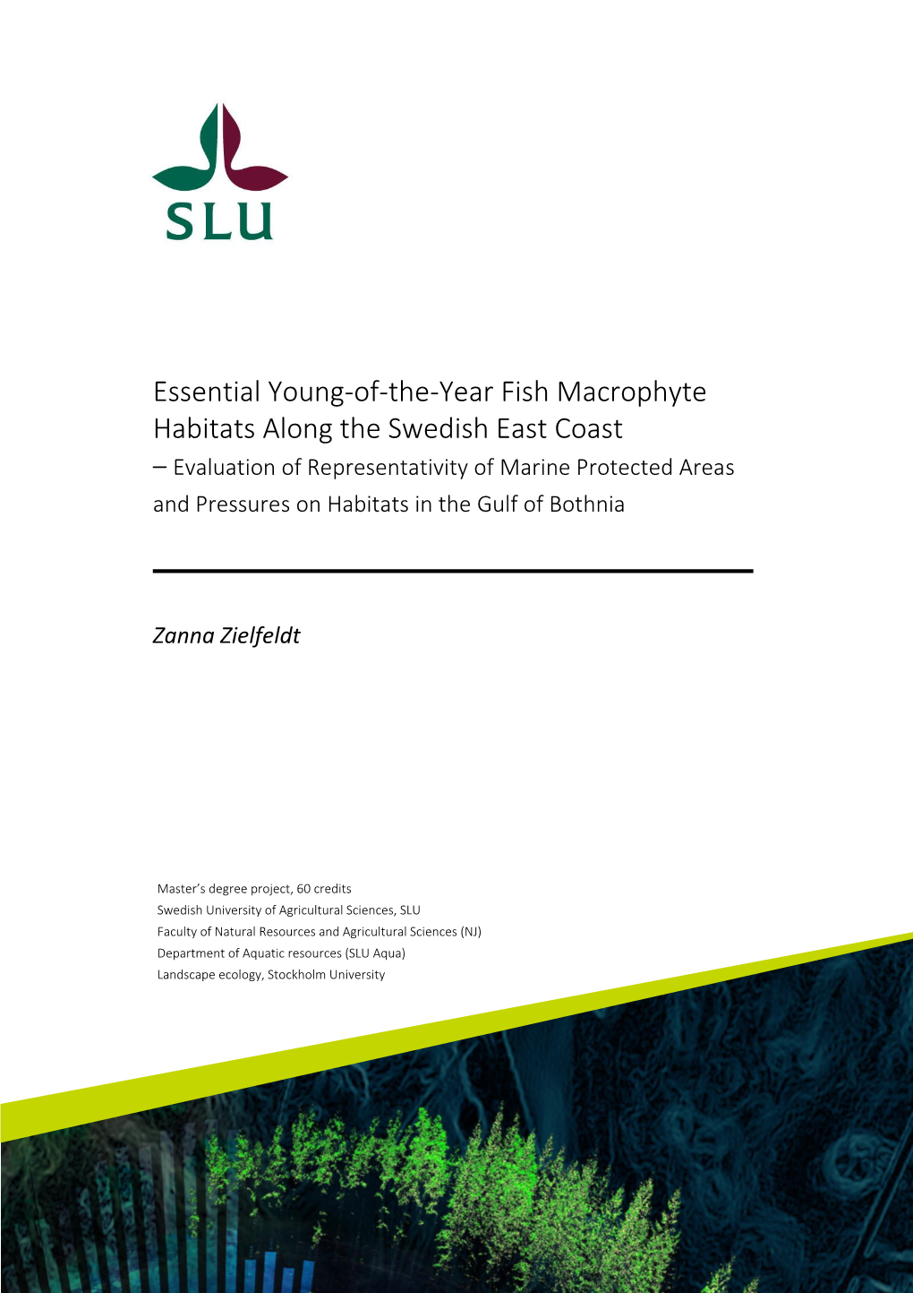 Essential Young-Of-The-Year Fish Macrophyte Habitats Along the Swedish East Coast