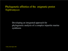 Phylogenetic Affinities of the Enigmatic Protist Nephromyces