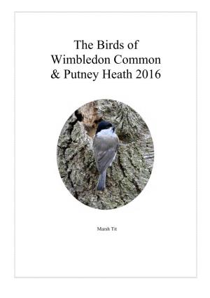 The Birds of Wimbledon Common & Putney Heath 2016