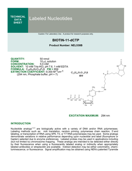 Labeled Nucleotides SHEET